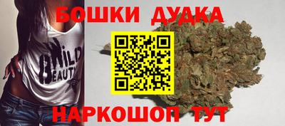 молекула духа Кингисепп