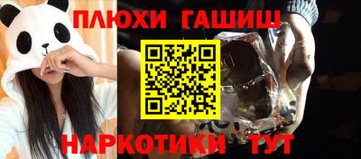 молекула духа Кингисепп