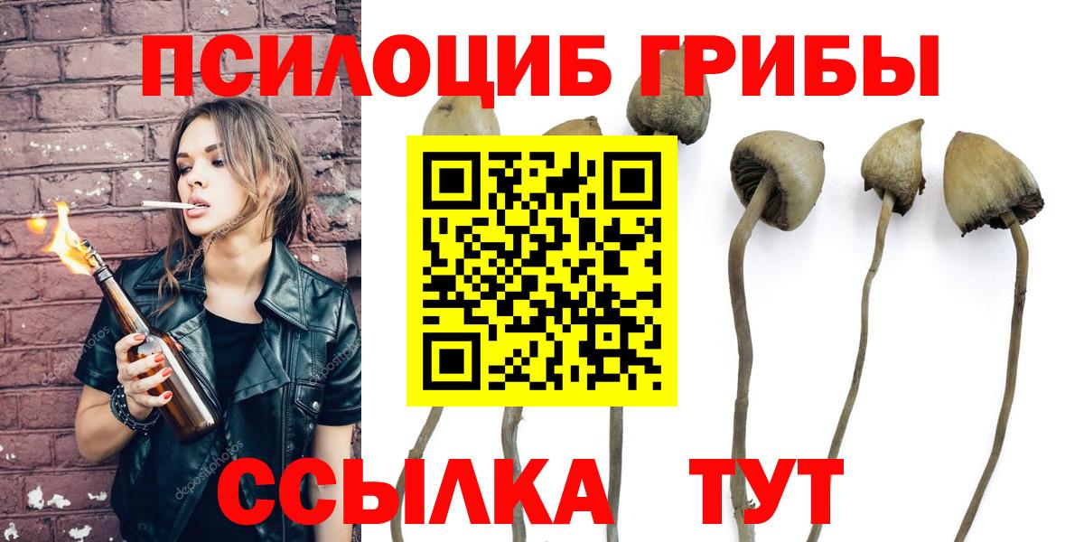 Кузнецк  Псилоцибиновые грибы ЛСД  Вход с VPN 